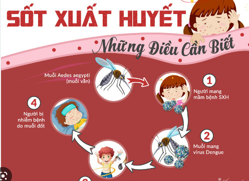 'Chìa khóa' phát hiện sớm sốt xuất huyết, phòng ngừa biến chứng nặng