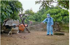 Tăng cường công tác phòng chống dịch bệnh trong tháng 11