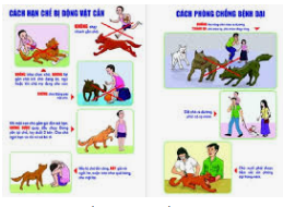 Tập huấn phòng chống bệnh dại