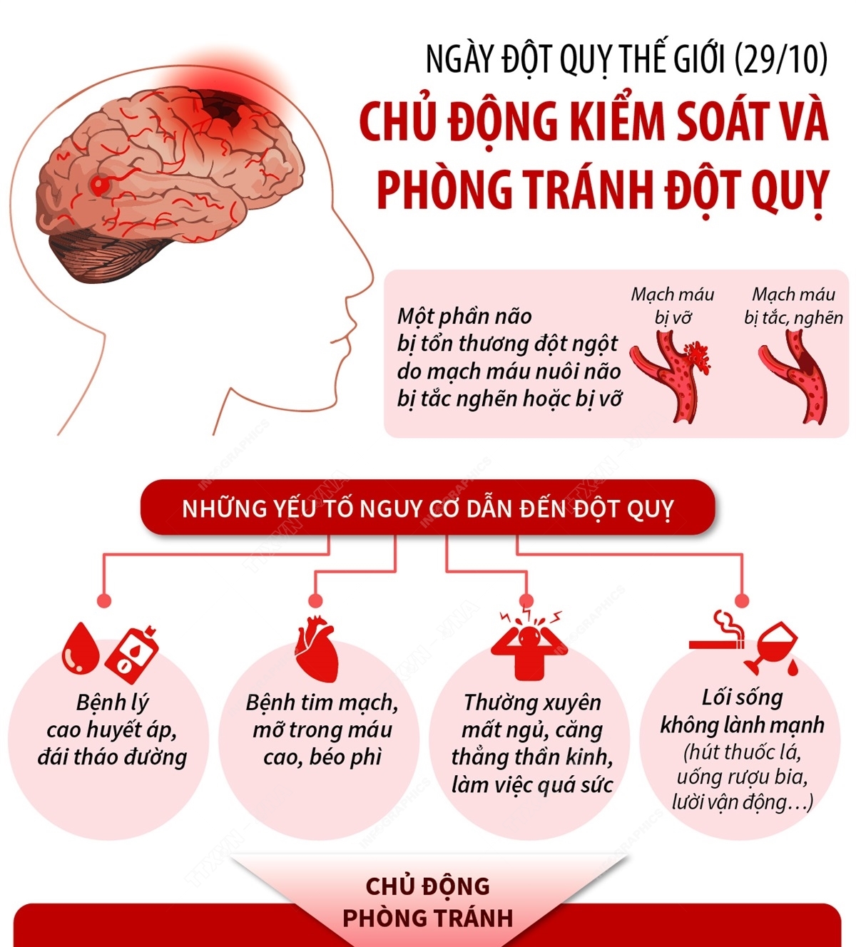 NGÀY ĐỘT QUỴ THẾ GIỚI NĂM 2023: CHỦ ĐỘNG KIỂM SOÁT VÀ PHÒNG TRÁNH ĐỘT QUỴ