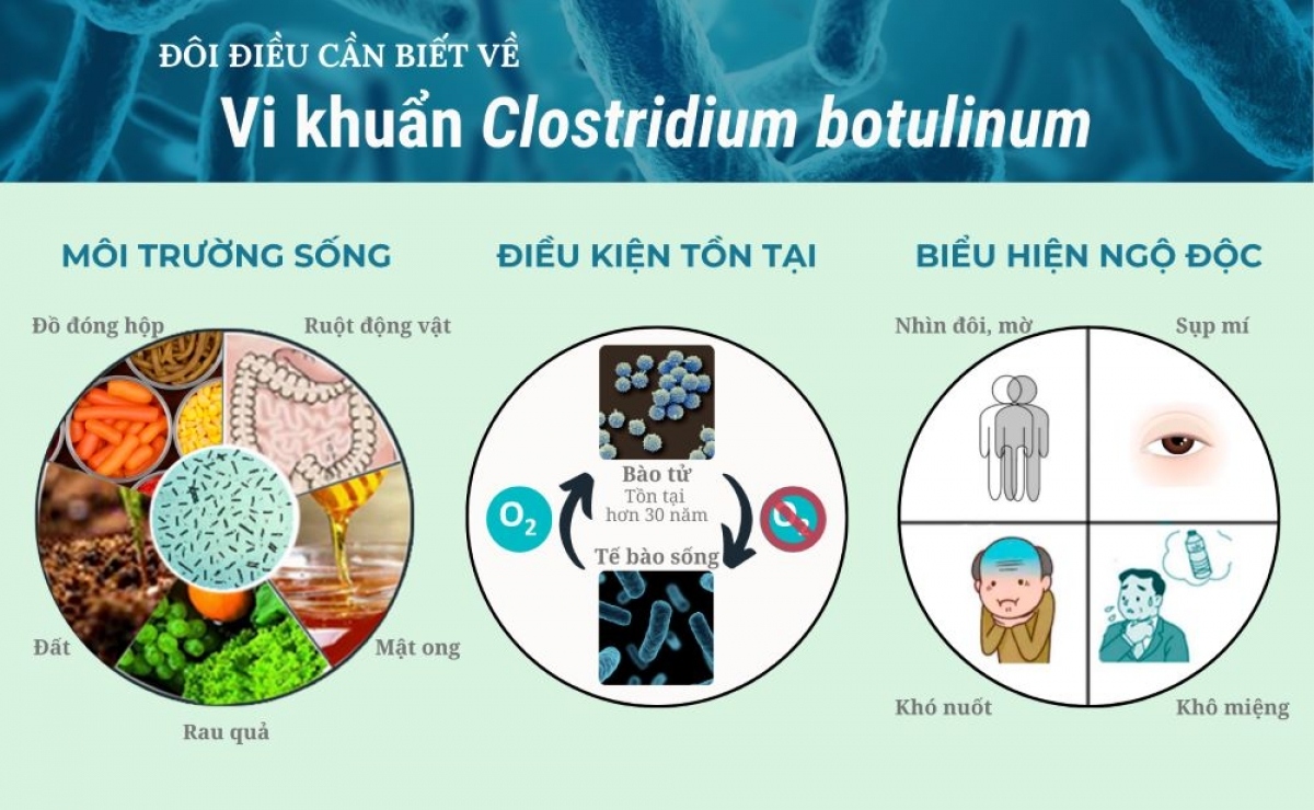 NGỘ ĐỘC THỰC PHẨM DO ĐỘC TỐ BOTULINUM