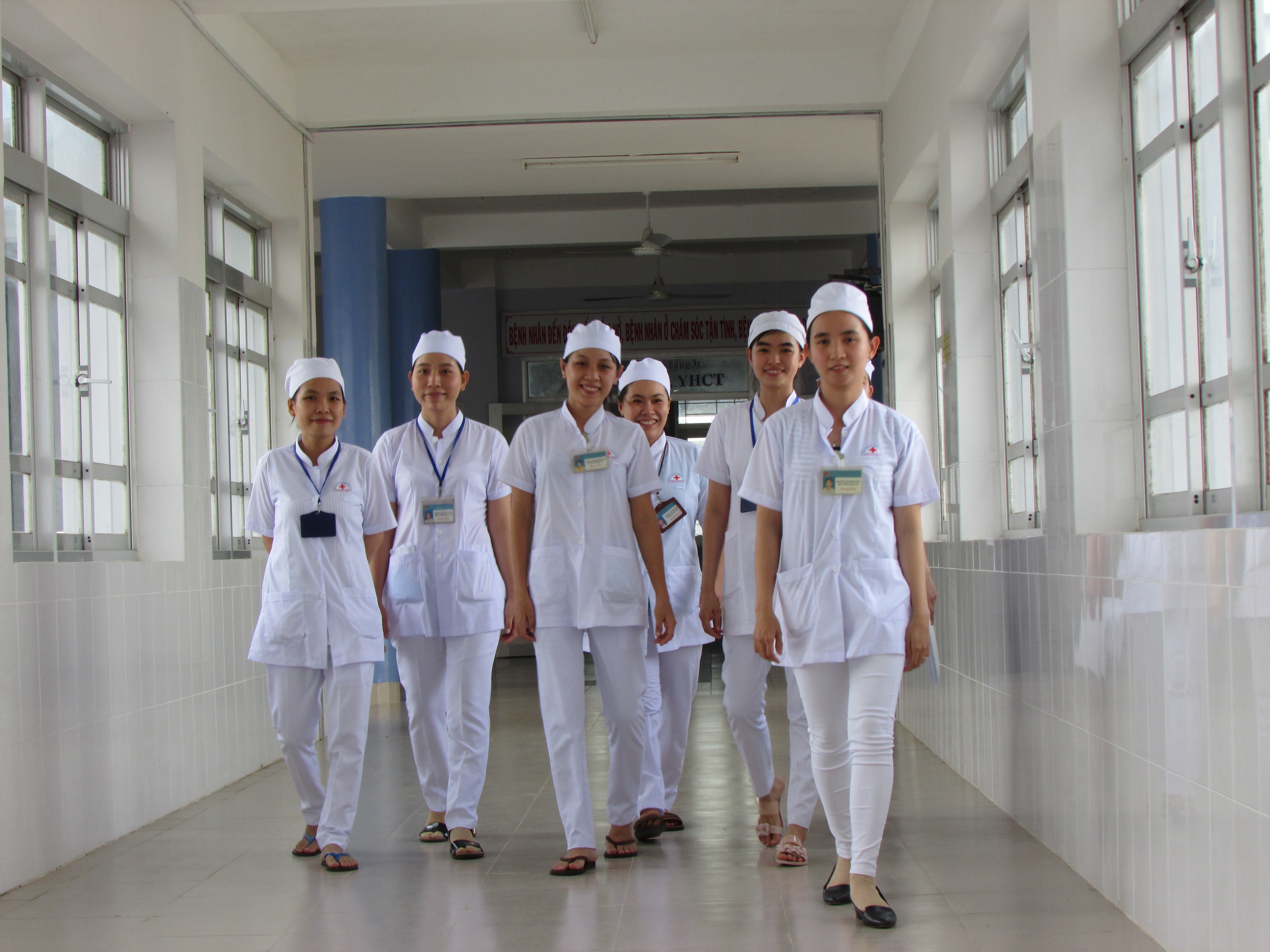 Hoạt động chuyên môn Quý II/2019