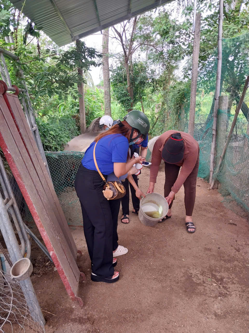 Xã Tuy An Đông, tỉnh Đắk Lắk tích cực xử lý ổ dịch sốt xuất huyết Dengue tại thôn Diêm Điền